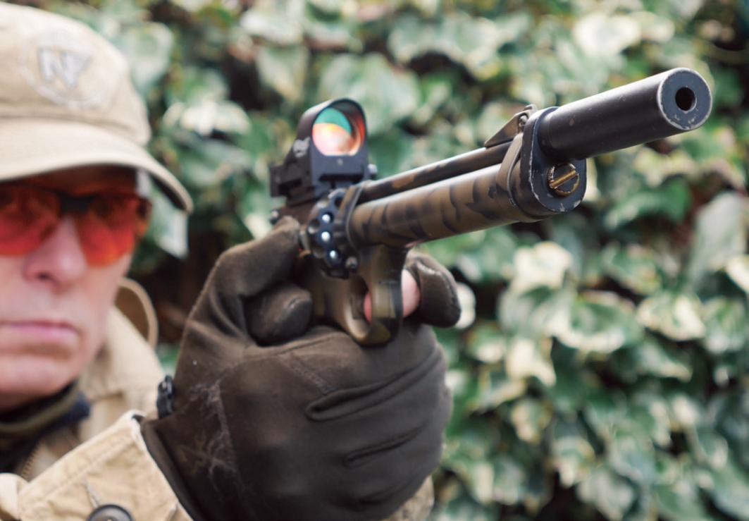 Cabinet of Curiosities