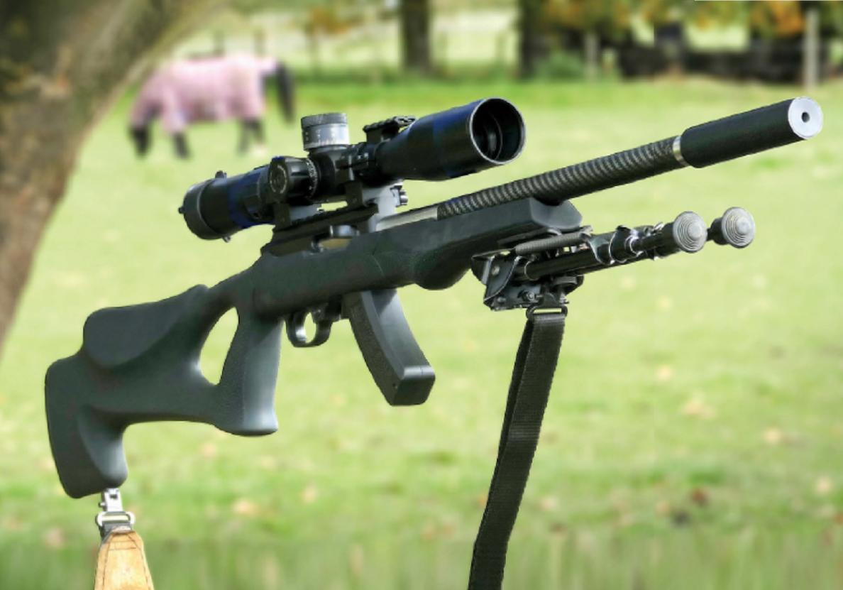 Custom Ruger 10/22