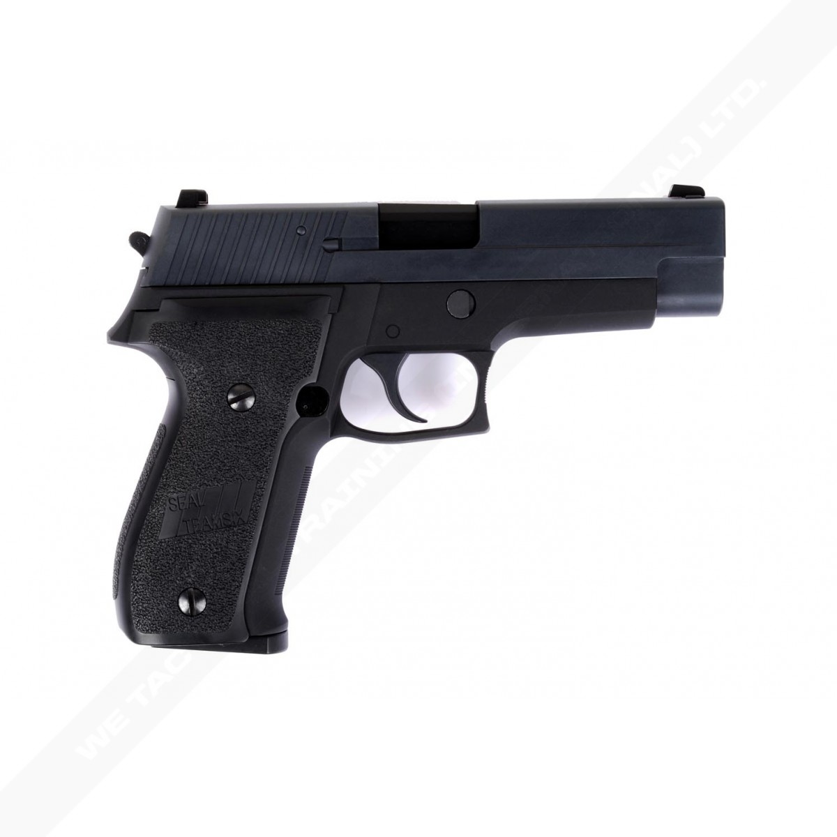 F226 MK25 Airsoft Pistol