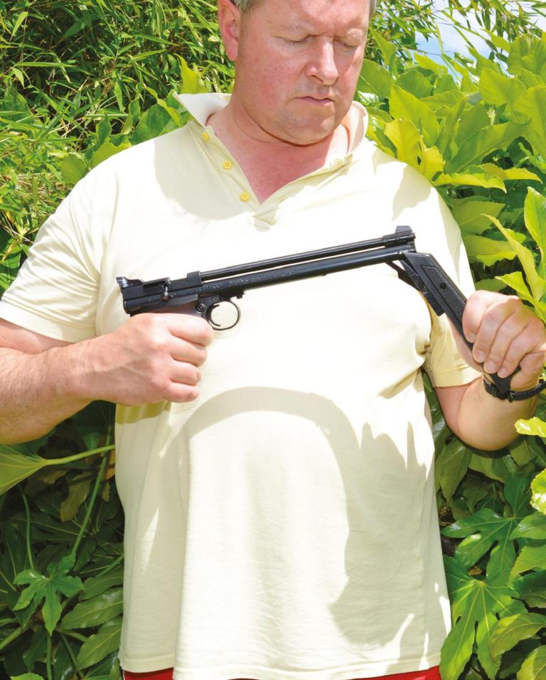 Crosman p1377 American Classic