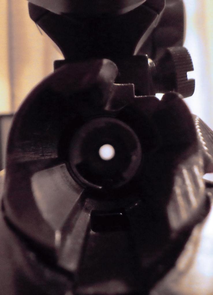 How to Bore Sight a Rifle