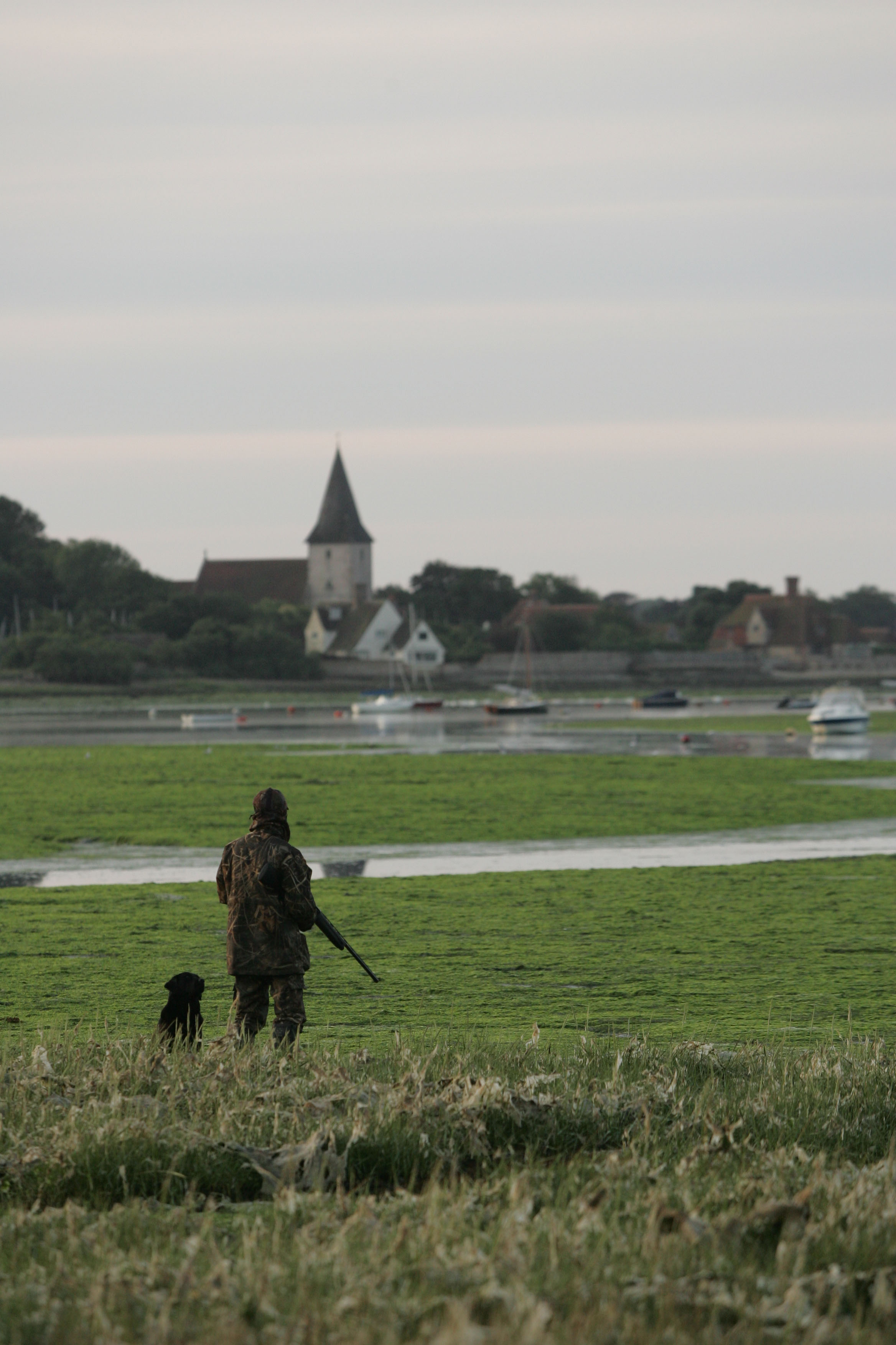 Antis win battle to outlaw wildfowling in Chichester Harbour