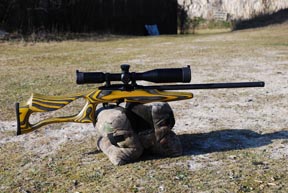 Remington 597 Yellow Jacket