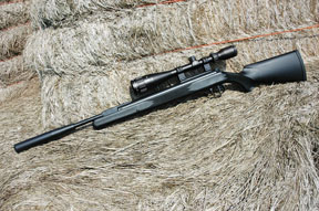 Diana Panther 31 Professional Compact