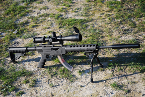 Ruger SR22