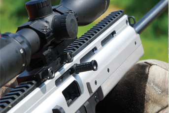 Anschutz MSR