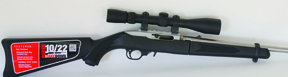 Ruger 10/22 Take Down