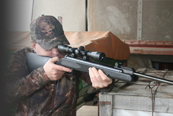 Umarex Ruger Hawk & Air Hawk Elite
