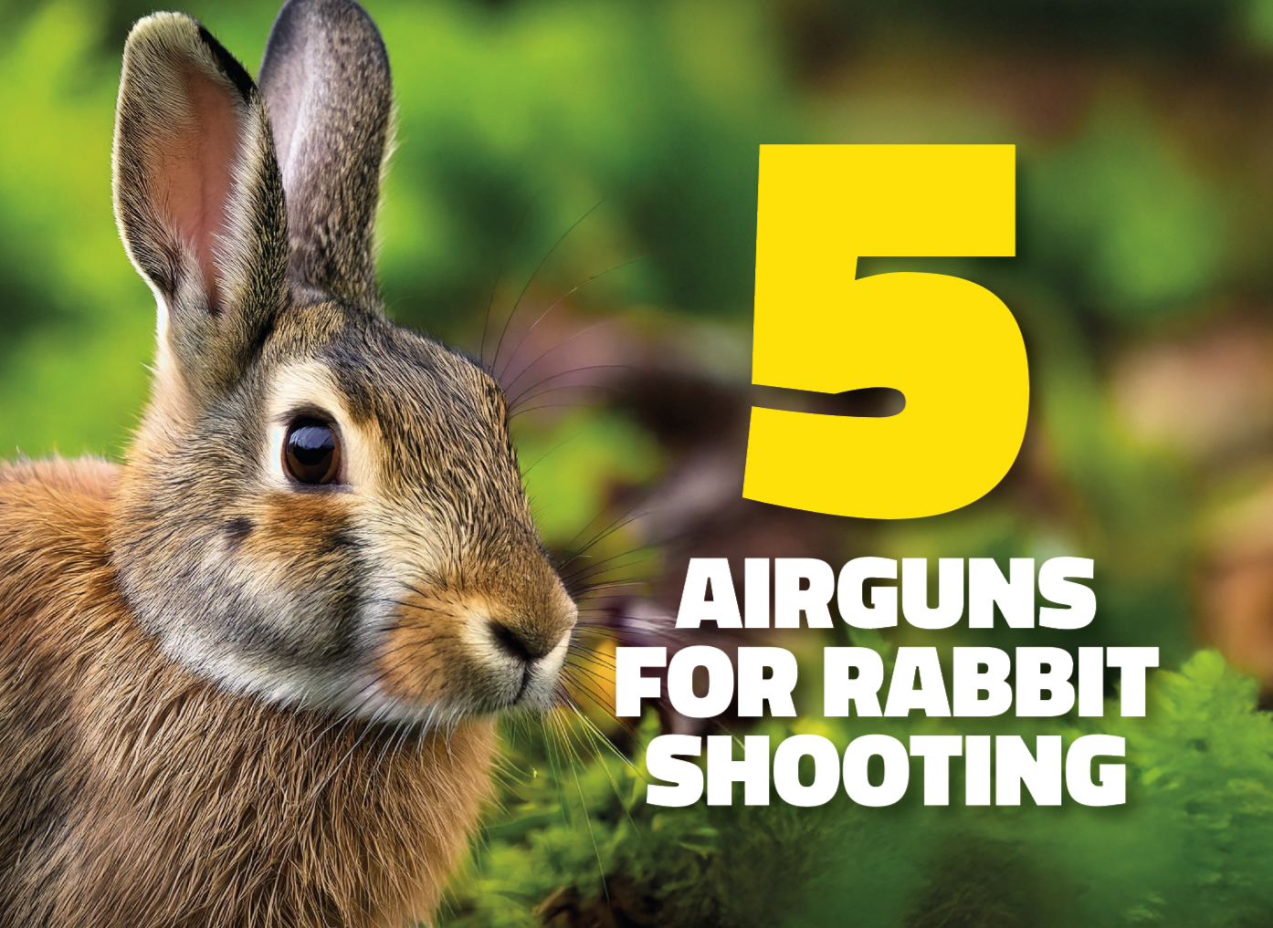 5 Airguns  for Rabbit Shooting